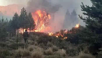 Incendios en El Bolsón: "Estamos ante una de las catástrofes más grandes de la historia en la zona"