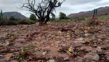 Jujuy: Desgarradoras consecuencias tras el temporal que azotó la Quebrada