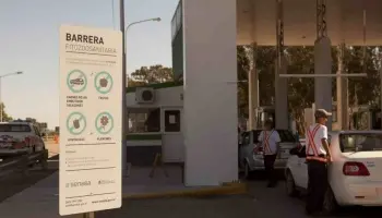 Senasa habilita el ingreso de carne con hueso a la Patagonia a pesar de la resistencia local