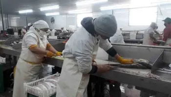 Despidos masivos en histórica pesquera de Río Negro