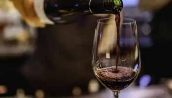 Noche de las Vinotecas: “Queremos que cada vez más comercios se sumen a esta propuesta”