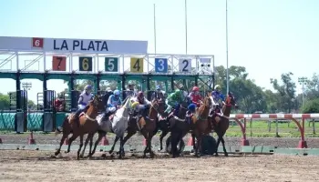 Hipódromo de La Plata: “Pagamos 375 millones por una ambulancia alquilada y no tenemos una propia”