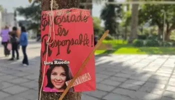 Jujuy: Sigue sin funcionar la Comisión de Género en la Legislatura pese a los femicidios