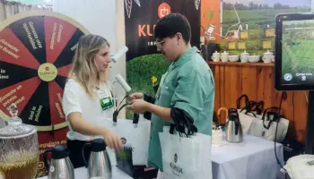 Misiones se luce con su oro verde: El té misionero pisa fuerte a nivel nacional e internacional
