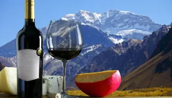 “El turismo, el vino y la gastronomía atraviesan un momento crítico en Argentina”