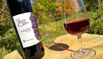 "La Fiesta del Vino de la Costa es una de las más importantes de Berisso y siempre sorprende"