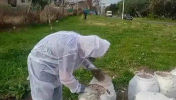 Morón erradicó un basural en El Palomar y avanza con denuncias por vuelcos clandestinos