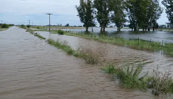 Inundaciones en los campos de 9 de Julio: "El 60 por ciento está tapado de agua"