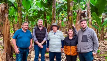 Misiones fortalece la producción bananera en Salta con innovación biotecnológica desde 2020