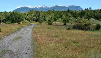 Río Negro: Conflicto por tierras fiscales afecta a más de 300 familias y exige acción del Gobierno