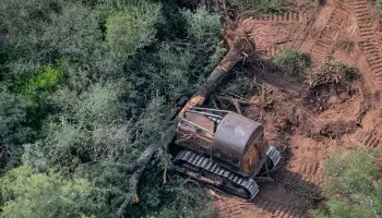 Greenpeace: "El presupuesto para la ley de Bosques es el más bajo de la historia"