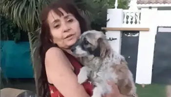 “Intentaron callarla”: Sobreseyeron a la fiscal que denunció corrupción en la Policía Bonaerense