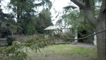 Polémica en escuela de La Plata: Se portaron mal, los aislaron y los pusieron a dibujar mandalas