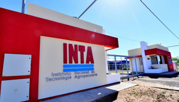 Desmantelamiento del INTA: “El productor queda desamparado y el territorio, sin asistencia”