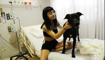 La Plata adopta las internaciones "pet friendly": "La visita humaniza y mejora el bienestar emocional"
