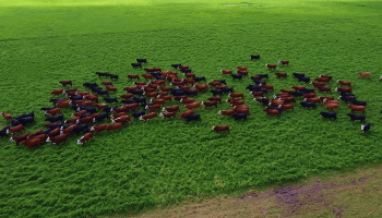 Productores rurales rechazan la tasa al Metano: “No contribuye en absolutamente nada”