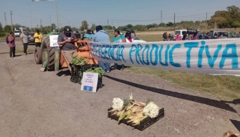 Productores de La Plata contra la importación: “El tomate platense está en peligro de perderse”