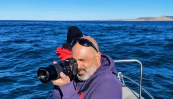 Documental “SEI, la ballena desconocida”: “Es un animal que está en peligro de extinción y que no se ve en otras partes del planeta”