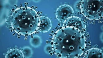 "El estado nacional le pagaba a los hospitales por el mero hecho de diagnosticar COVID positivo"