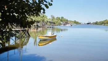 Salidas en luna llena y sin internet: La experiencia en el río que sorprende en Berisso