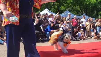 La Plata: Gran desfile de mascotas en Plaza Azcuénaga