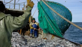 Proyecto Argentina Azul: “El país puede empezar a explotar sus mares”