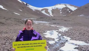 Greenpeace: “La reforma de la ley de Glaciares es inconstitucional y regresiva”