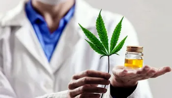 Cannabis medicinal: “La criminalización de los consumos no resolvió nada”