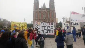 Desde SUTEBA Multicolor denunciaron una “invasión de ratas” en escuelas de La Plata