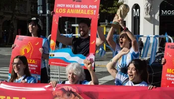 Sinergia Animal apuntó contra Mostaza: "Es hora de sacarle tarjeta roja"