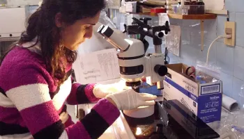 La ciencia detrás de las lombrices: "Resultan ser organismos buenos para descontaminar"