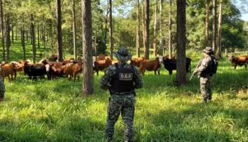 "El delito rural en PBA ha incrementado desde que finalizó la pandemia hasta ahora"