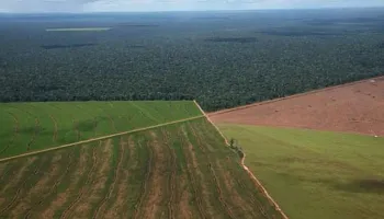 “Eliminar los límites de la ley de Tierras es un riesgo enorme para la soberanía”