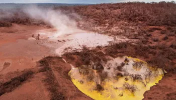 El Chernobyl salteño: “Todo animal que tiene contacto con ese líquido termina muerto”