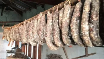 "Debemos estar preocupados": veterinarios advierten sobre la triquinosis en PBA