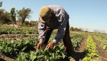 "La agroecología propone al suelo como un sistema vivo que puede mejorar sus condiciones"