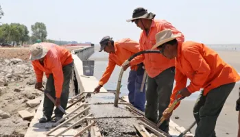 "Se pierde todo el ecosistema": ONG alerta por la extensión del murallón en Punta Lara