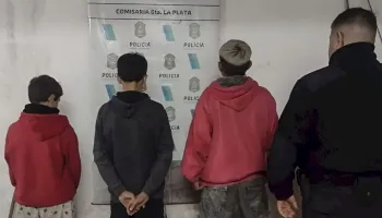 "No hay evidencia de que perseguir chicos de 14 años reduzca la violencia"