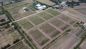 Barrios ilegales en La Plata: empresarios acusados de estafas con loteos