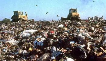 Basural a cielo abierto en Miramar: “Después del turismo hay una realidad también”