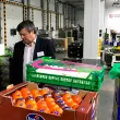 Mercado Central: Denuncian por agresiones a “patota” ligada a la seguridad