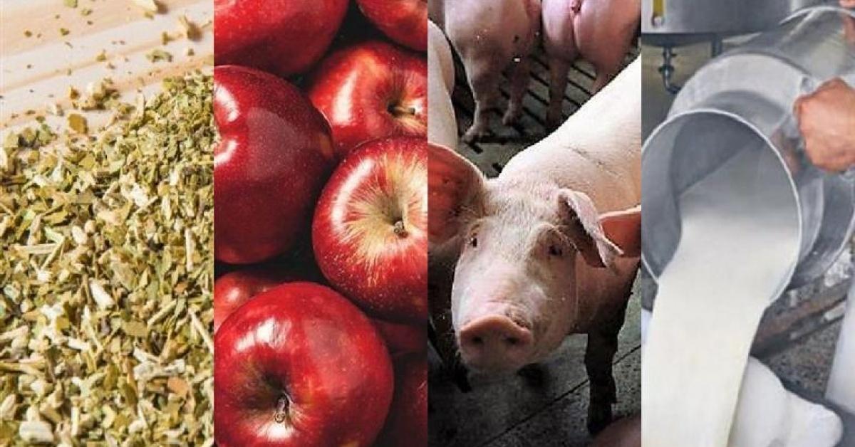 Direcciones | Ministerio de Desarrollo Productivo, Rural y Agua